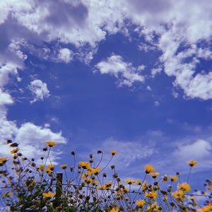 Meet your Posher, Zachary